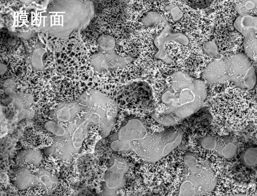 抖圈人生就是搏燒結管式膜電鏡照片